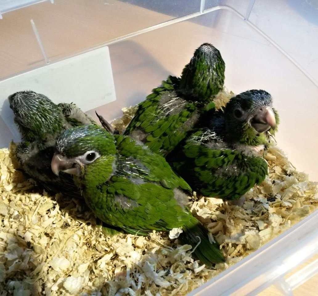 Foto 3